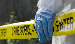 Crime Scene